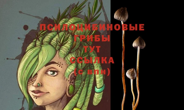 ешки Абинск