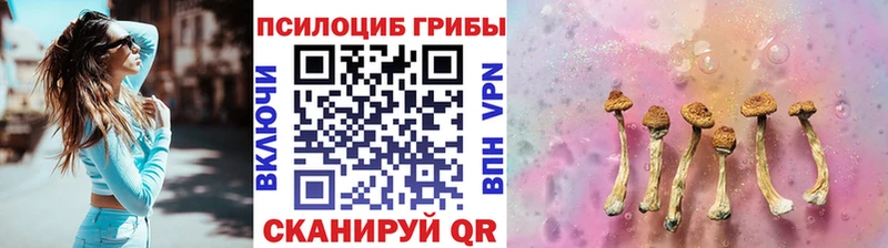 сайты даркнета клад  Шиханы  Галлюциногенные грибы Magic Shrooms  закладки 
